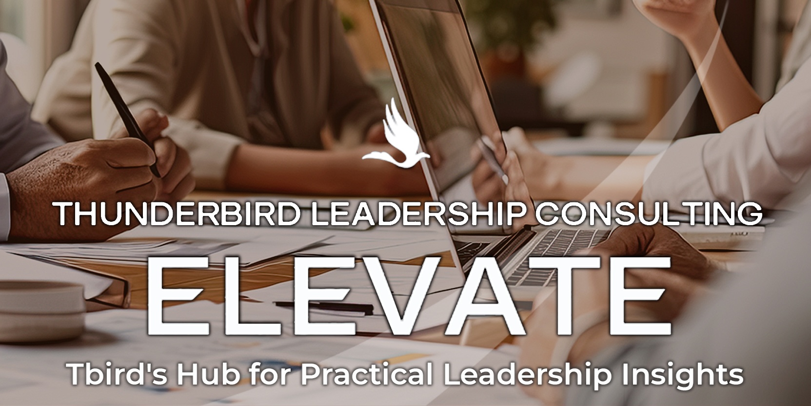 ELEVATE, Thunderbird Leadership Consulting's hub for practical leadership insights.